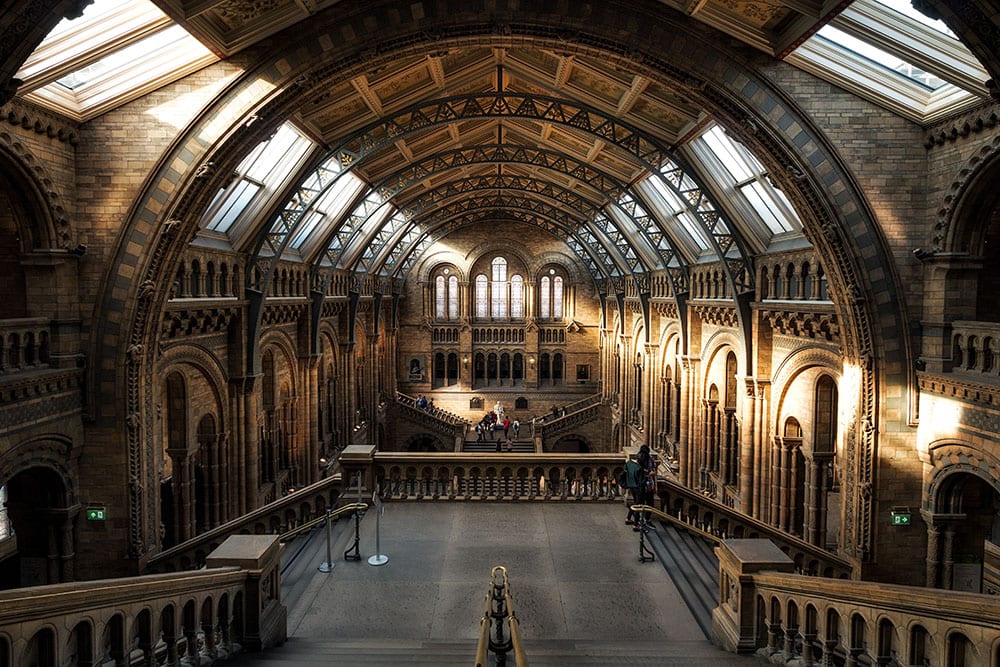 Natural History Museum Wedding Venue Cost