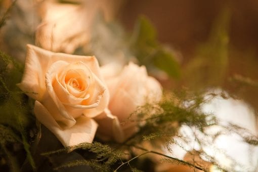 Beautiful open roses at a wedding ceremony in London