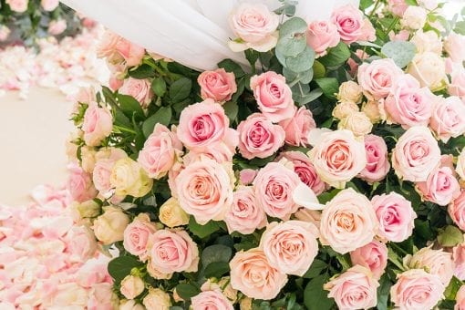 Stunning pastel pink and cream roses tied to beautiful white draping surrounded by rose petals ready for an Indian wedding ceremony