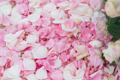 A bed of pink and white rose petals at a luxurious Indian wedding party