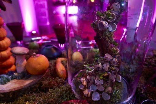 Decorative glass dome with eggshells and crickets on a table surrounded by vegetables