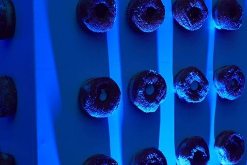 Donuts on a wall lit up by blue lighting