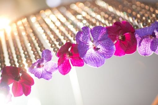 Elegant pink and purple flower heads handing from a crystal chandelier
