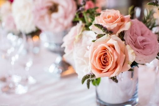 Pale orange and pink roses in a glass vase