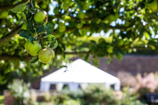 Ray tent set for lunch on the lawns of Hampton Court Palace