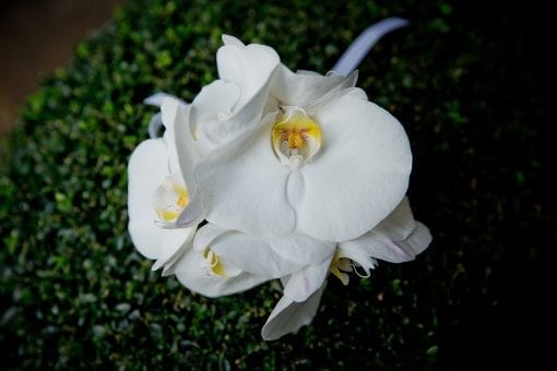 Stunning white orchid buttonhole for a luxury wedding in London