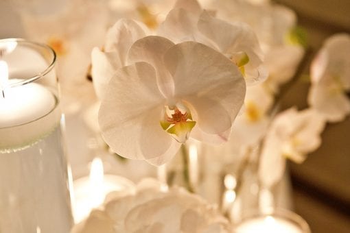 Detail of beautiful white flowers and candles at a luxury wedding ceremony