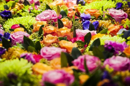 A flower bed / wall with pinks, oranges and greens inspired for an Indian private event