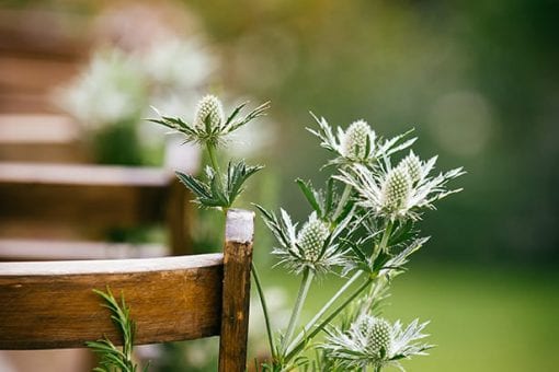 Thistle ceremony chair styling at a rustic English countryside wedding