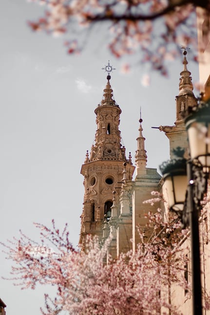 The top of the Seville Cathedral in Seville, Spain for a luxury destination wedding.